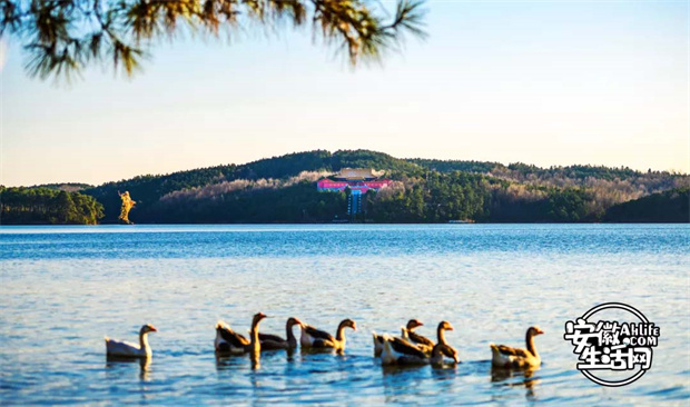 yh533388银河(中国)股份有限公司-官方网站