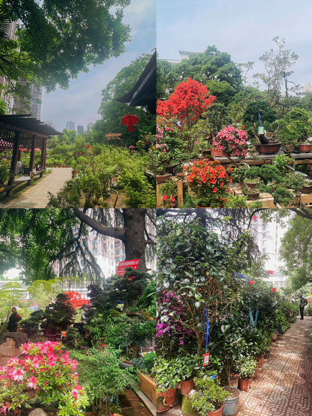 yh533388银河(中国)股份有限公司-官方网站