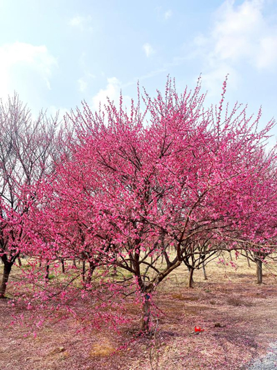 yh533388银河(中国)股份有限公司-官方网站