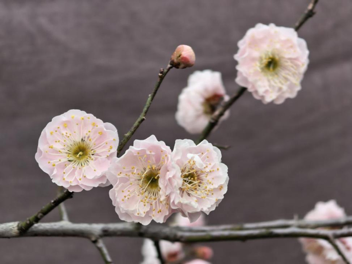 yh533388银河(中国)股份有限公司-官方网站